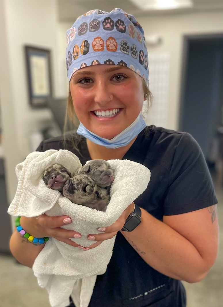 Kyli Moore Veterinary Technician